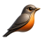 Zorzal Design